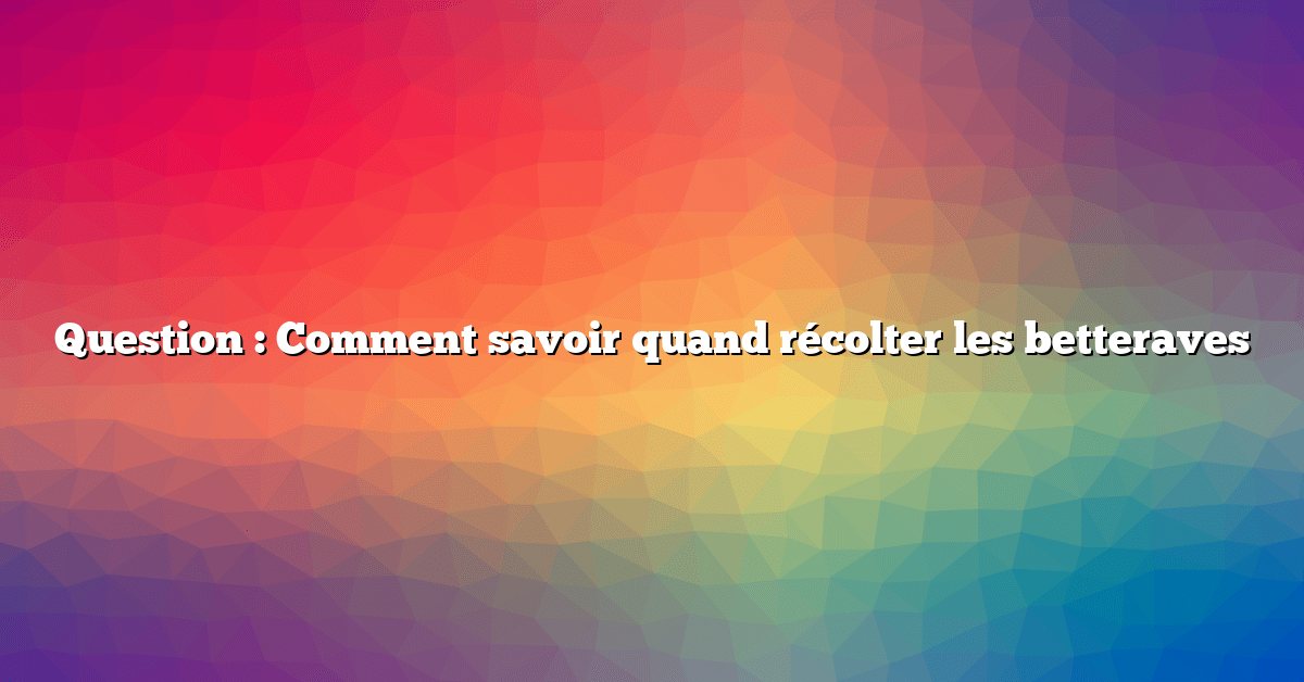Question : Comment savoir quand récolter les betteraves